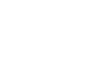 Negozio online